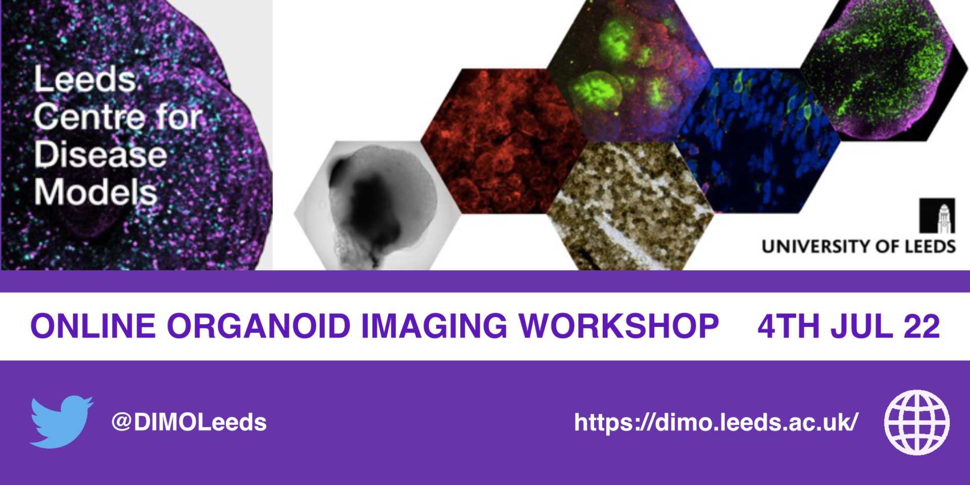 Organoid Imaging Workshop